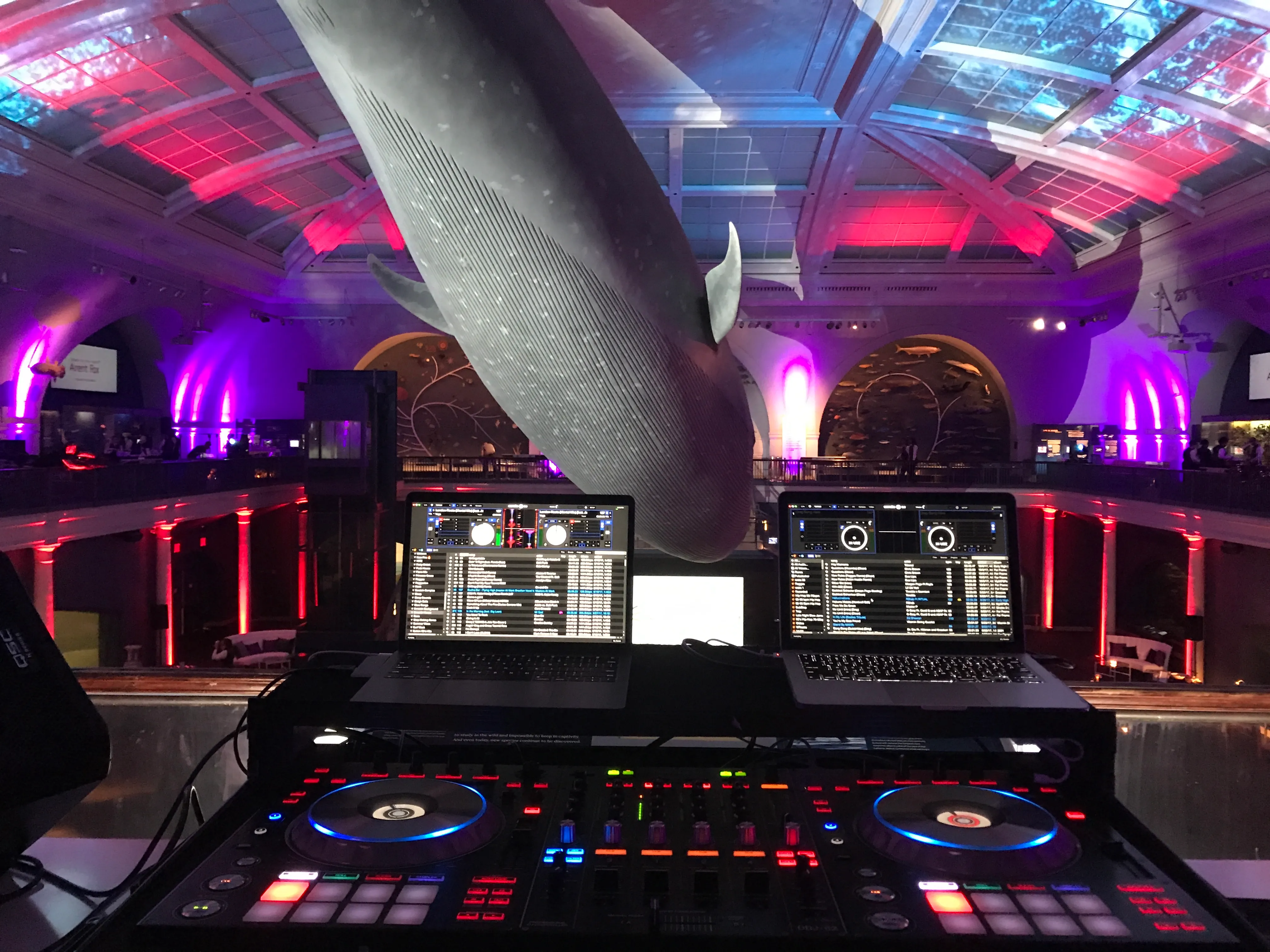 Corporate Party at Museum of Natural History, New York City